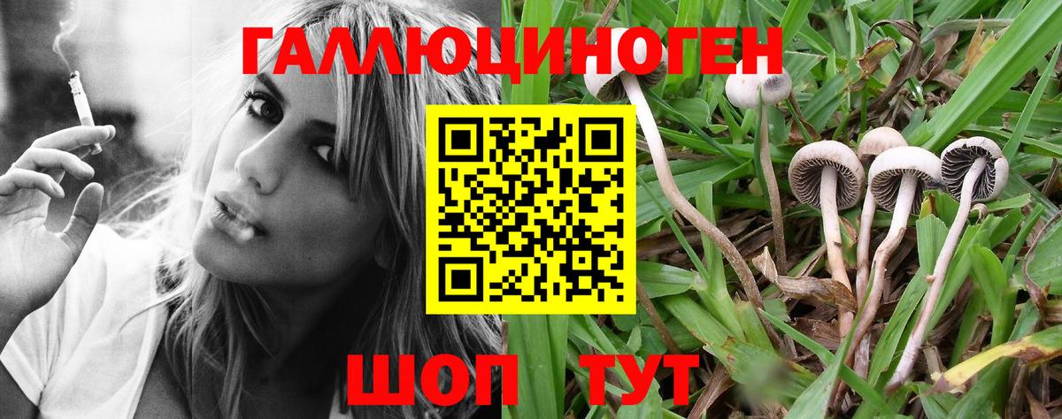 Псилоцибиновые грибы MAGIC MUSHROOMS  Галлюциногенные грибы мицелий  Вход с VPN  Северобайкальск 